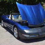 StElizabeth_016 (June 16, 2017)